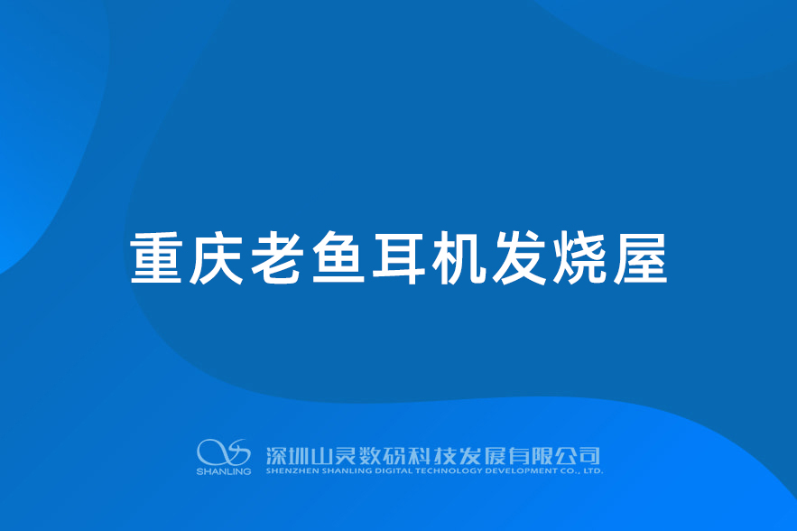 重慶老魚耳機發燒屋